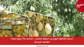 أسعار الفاكهة اليوم في أسواق الأقصر.. المانجا بـ45 جنيها وهذه القائمة المحدثة